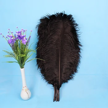 10 VNT gražus gamtos juoda stručio plunksna 50-55 cm / 20 - 22 cm stručių plunksnos vestuvių šventė plunksnelių dekoratyvinis