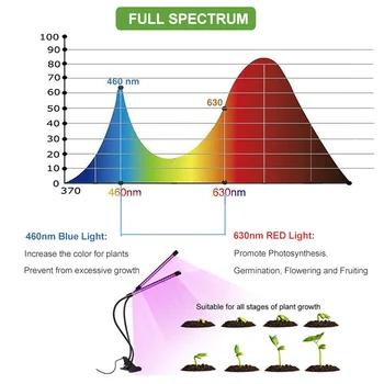 LED Grow Light фитолампа Fito Lempa Augalų USB Laikmatis Visą Spektrą Laikmatis Augti Žiburiai Sultingi Daigų Namų Gėlių, Augalų