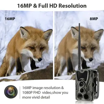 HC801M Medžioklės Takas Kamera 1080P 16MP Gyvūnijos Infraraudonųjų spindulių Naktinio Matymo Kameros, Laukinės gamtos Skautų Infraraudonųjų spindulių Kameros 2G MMS Foto